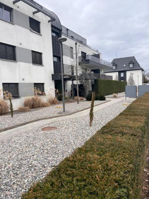 Appartement Red Jardin Tres Calme Saint-Louis  Exteriér fotografie